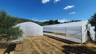 Produktbild von Gewächshaus 6×20 m – Profi Treibhaus mit seitlicher Belüftung, 2 Türen, UV‑Folie & verstärkter Konstruktion