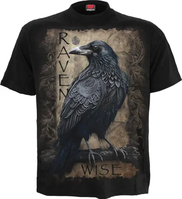 Produktbild von Spiral T-Shirt Herren Raven Wise schwarz XL