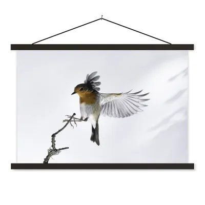 Produktbild von MuchoWow® Textilposter Nahaufnahme Vogel 150x100 cm mit schwarzem Rahmen - Schlafzimmer