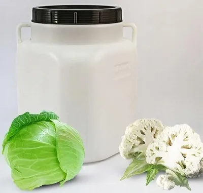 A white plastic fermentation barrel with a black lid, a head of cabbage, and two pieces of cauliflower on a white background.