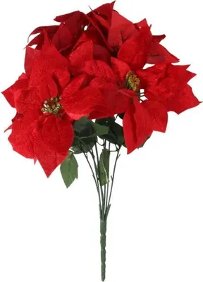 Productafbeelding van Set van 7 elegante kerststerren van fluweel, 55 cm, rood
