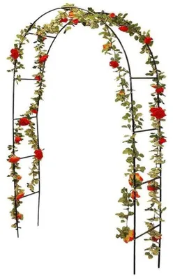 Image de Arche de jardin pour décoration, dimensions 240 x 140 cm