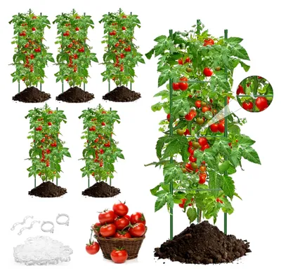 Produktbild von Tomaten Rankhilfe 6 Stück, 130 cm für Kletterpflanzen, höhenverstellbar