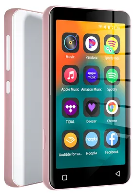 Image de Lecteur MP3 de 80 Go avec Bluetooth et Wi-Fi, écran tactile de 4 pouces et compatible Spotify