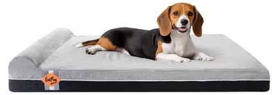 Orthopädisches Hundebett, Memory-Schaum, extra groß, grau