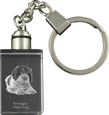 Immagine prodotto di Art-Dog Portachiavi – Lagotto romagnolo