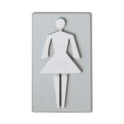Produktbild von DOMINO WC Schild Selbstklebend 8,5 cm x 4,7 cm | Toilettenschilder Damen WC | Türschild Gäste | Idealer WC Aufkleber | Toiletten Schild | WC-Schilder für Büros, Restaurants | Farbe: SILBER