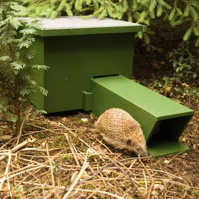 Produktbild von CJ Wildlife Igelhaus Winterfest - Igelfutterhaus mit Tunneleingang - aus 100% Holz - wetterfestes Bitumen-Dach - Grün - für Igel
