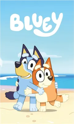 Produktbild von Bluey Polardecke 100x150cm Beach Day Kuscheldecke Kinder
