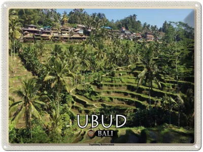 Immagine prodotto di vianmo Insegna di latta 30x40 cm Ubud Bali Tegalalang Reisterrassen