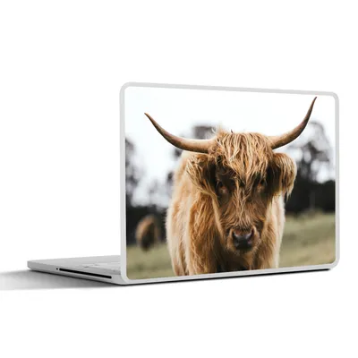 Produktbild von MuchoWow® Laptop Aufkleber Sticker Cover Schottischer Highlander - Kuh - Gras - Tiere - Natur 30x21 cm - Sticker für Laptop - Selbstklebend