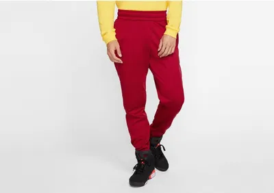 Produktbild von Hosen Nike Air Jordan 23 Alpha Therma BV1313687