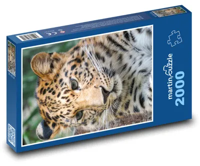 Zdjęcie produktu dla martinpuzzle - Puzzle 2000 - Lewopard
