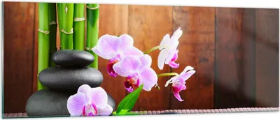Produktbild von Bilder auf glas - Bambus Dekoration Blume Orchidee - 140x50cm - Glasbilder - Wandbilder - Kunstdruck - zum Aufhängen bereit - Wanddekoration aus Glas - Glas Bilder - Wandbild auf Glas - GAB140x50-2167
