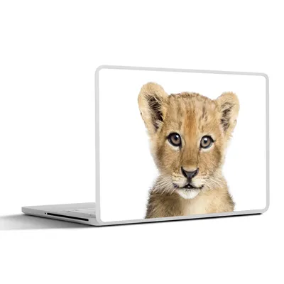 Produktbild von MuchoWow® Laptop Aufkleber Sticker Cover Löwe - Tiere - Natur - Weiß 25x18 cm - Laptop-Deko