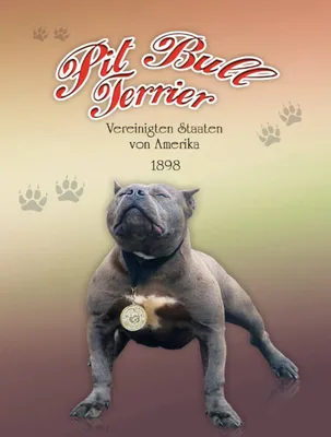 Produktbild von vianmo Holzschild 40x30 cm Hund Pit Bull Terrier Amerika 1898