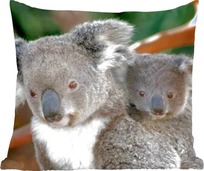 Produktbild von MuchoWow® Zierkissen Sofakissen Wohnzimmer Dekokissen 45x45 cm Koalas - Vater - Kind - Jungen - Mädchen - Schlafpolster - Polster für das Sofa