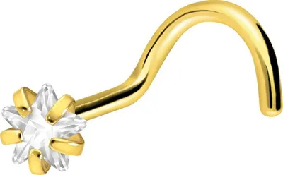 Produktbild von Nasenpiercing, Nasenstecker Titan Nasenstecker Spirale EINGEFASSTER KRISTALLSTERN