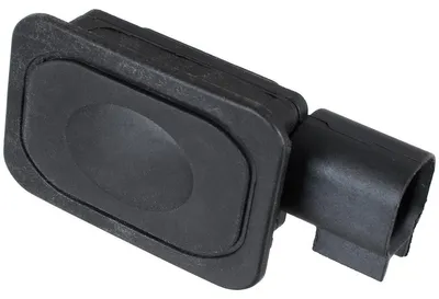 Image de Ford Edge 2006 - Bouton de la poignée du hayon (micro-interrupteur)