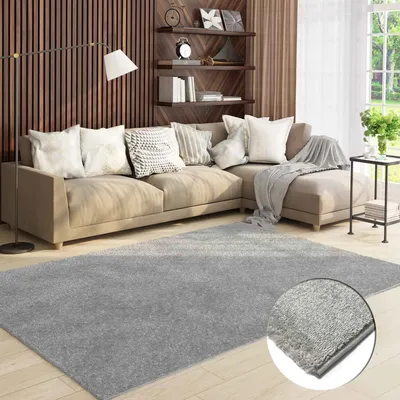 A living room scene with a sectional sofa, floor lamp, shelves, and a rug.
