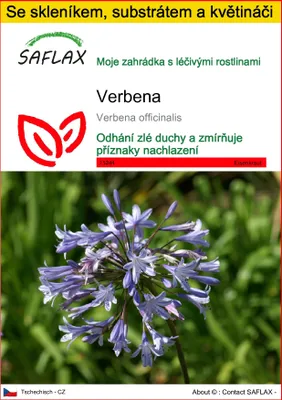Obrázek produktu pro SAFLAX Kultivační sada - Verbena - Verbena officinalis - 250 Semena - S mini skleníkem, pěstebním substrátem a 2 květináči