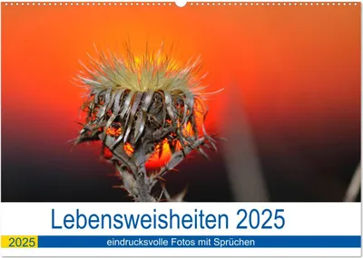 Produktbild von Lebensweisheiten 2025 (Wandkalender 2025 DIN A2 quer), CALVENDO Monatskalender