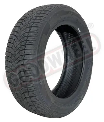 Immagine prodotto di Massimo MSA11 ( 225/55 ZR17 101W XL )