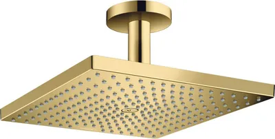 Obrázek produktu pro HANSGROHE 26250990 Horní sprcha Raindance E 300 1jet