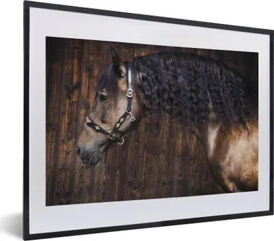 Produktbild von MuchoWow® MuchoWow® Gerahmtes Poster Pferd - Schwarz - Braun - Halfter 40x30 cm - Poster mit zchwarzem Bilderrahmen - Bilderrahmen - Poster im Rahmen