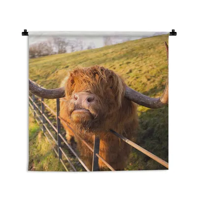 Produktbild von MuchoWow® Wandteppich Wandbehang Scottish Hochlandrind - Zaun - Gras 120x120 cm Tapisserie Dekoration Wandtuch - Modern - Baumwollgewebe