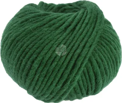 Produktbild von Lana Grossa - Feltro 0111 flaschengrün