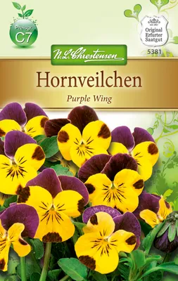 Artikelbild 1 von 'Hornveilchen Purple Wing' aus der Kategorie Hornveilchensamen