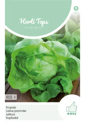 Produktbild von Kopfsalat Hilde II | Kopfsalatsamen von Hortitops [MHD 07/2025]