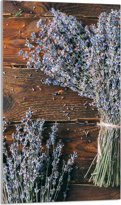 Produktbild von Glasschneidebrett 30x52 Lavendel