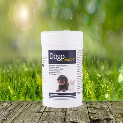 Produktbild von DogoSenior 60 Stück - stärkt das Immunsystem