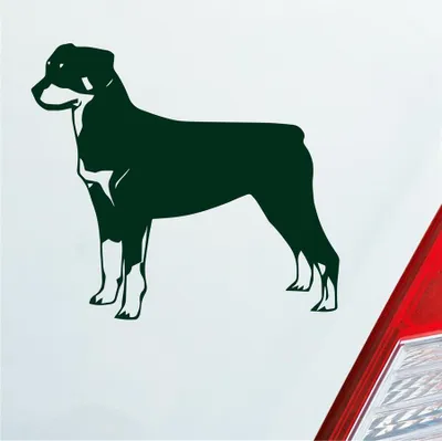 Produktbild von Auto Aufkleber Rottweiler Tier Hund Dog Animal 11x10 cm Dunkelgrün Sticker Heckscheibenaufkleber