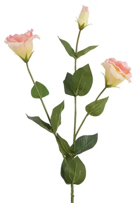 Productafbeelding van Clayre & Eef Kunstbloem Rosa, kunststof
