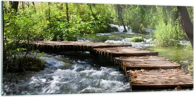 Produktbild von Bilder auf glas - Park natur grün bäume - 120x50cm - Glasbilder - Wandbilder - Kunstdruck - zum Aufhängen bereit - Wanddekoration aus Glas - Glas Bilder - Wandbild auf Glas - GAB120x50-0356