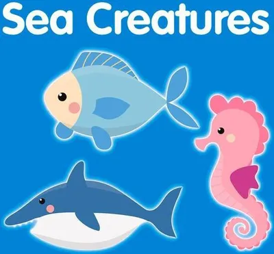 Produktbild von Sea Creatures