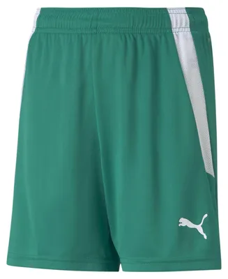 Obrázok produktu pre Puma Nohavice Teamliga, 70493105, Veľkosť: 128