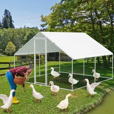 Image de Petit enclos pour animaux de compagnie 3 × 3 × 2 m - Abri d'extérieur - Poulailler - Serrure de sécurité - Volière - Enclos pour petits animaux - Enclos pour poulets - Chickenguard