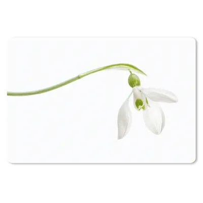 Produktbild von MuchoWow® Mauspad Mousepad Studioaufnahme eines Schneeglöckchens 27x18 cm - Mousepads - Maus Mat - Pad - Mausunterlage - Büroartikel - Desk Matten