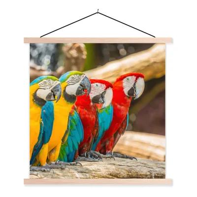 Produktbild von MuchoWow® Textilposter Vögel - Papagei - Tropisch - Natur 120x120 cm mit holzfarbenen Rahmen - Textil-Poster