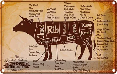 Produktbild von vianmo Blechschild 20x30 cm Kuh Beef cuts Organic Metzgerei Hofladen Marktstand Laden