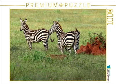 Produktbild von CALVENDO Puzzle Zebra | 1000 Teile Lege-Größe 64x48cm Foto-Puzzle für glückliche Stunden