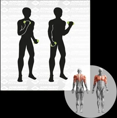 Obrázek produktu pro SCHILDKRÖT FITNESS SK Fitness SOFT HANTEL Set, 2x 0,5k bez barvy 2X0,5
