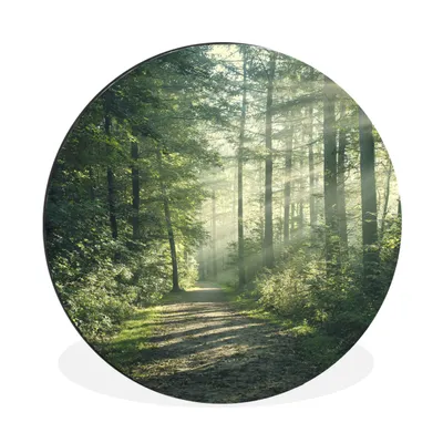 Produktbild von MuchoWow® Aluminium Wandkreis Wald - Licht - Weg Ø 60 cm Wanddeko Modern Wohnzimmer - Wand Kreis - Wandbild - Schlafzimmer - Aluminium Bild - Kinderzimmer - Wohnzimmer Dekoration - Wandschmuck