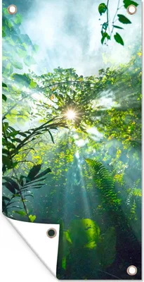 Produktbild von MuchoWow® 40x80 cm Outdoor-Poster Gartendeko Sichtschutz Garten Poster für den Garten  Die Sonne scheint durch die Wälder eines Regenwaldes in Malaysia