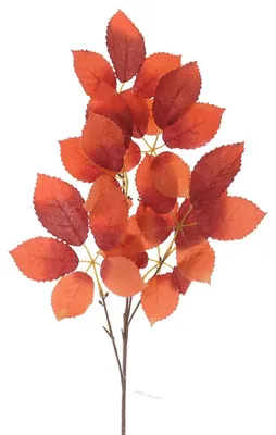 Produktbild von DPI Herbstdeko - Laubzweig Orange 68 cm - Kunstpflanzen