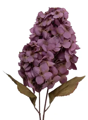 Imagen del producto de Clayre & Eef, flor artificial, 12x12x90 cm, color violeta, material: plástico